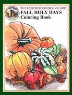 How to Enable Javascript