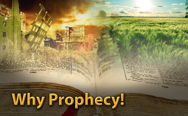 Why Prophecy!