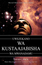 Image for Uwezekano Wa Kustaajabisha Wa Mwanadamu