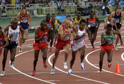The Olympics