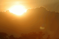 Three Messiahs?—or One?