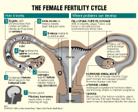 chance of miscarriage after heartbeat