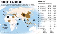 Bird Flu Outbreak in Britain