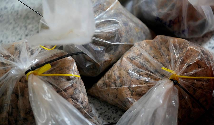 Brazil Uses Forensic Science to Trace Gold’s Origin and Tackle Illegal Mining in the Amazon