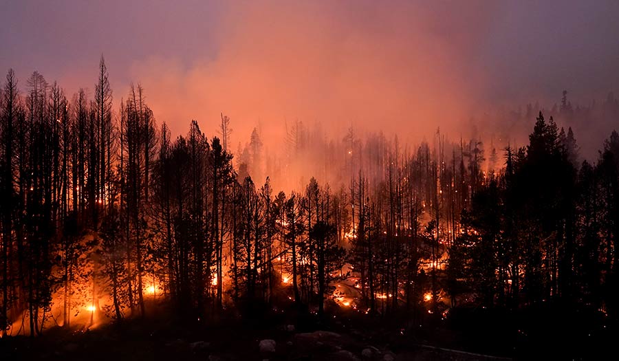 Forest_Fire-apha-220120.jpg