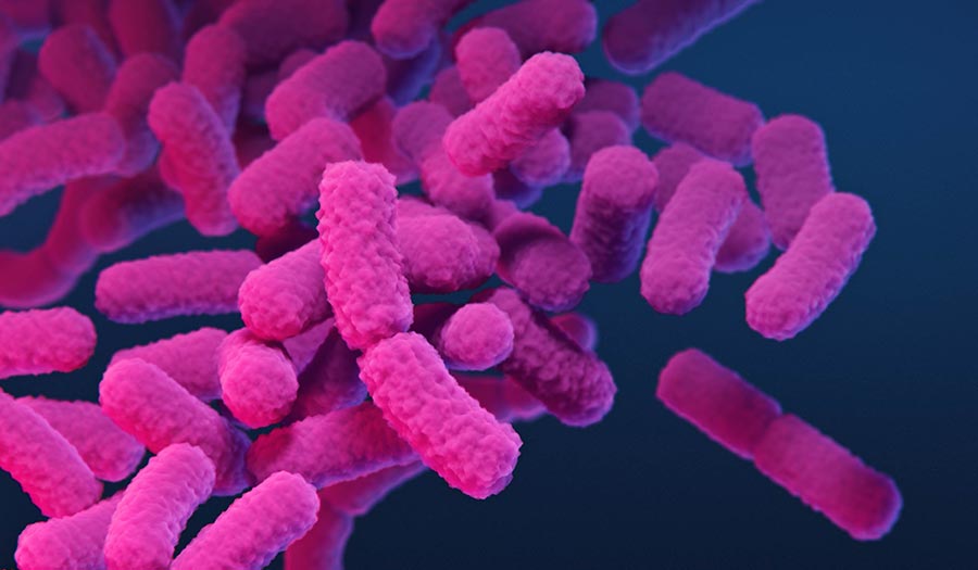 Nightmare_Bacteria_Cases-apha-250925.jpg